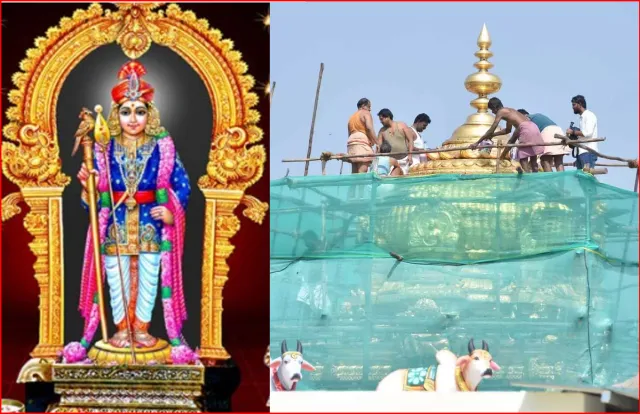 பழனி முருகன் கோவில் குடமுழுக்கு! நேற்று முதல் முன்பதிவு தொடக்கம்! 