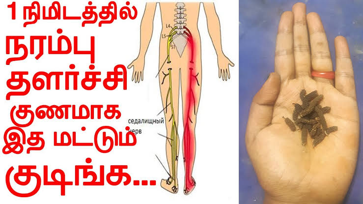 இந்த மூன்று பொருட்களையும் கொதிக்க வைத்து குடித்தால் போதும்! நரம்பு சம்பந்தப்பட்ட பிரச்சனை முற்றிலும் குணமடையும்!