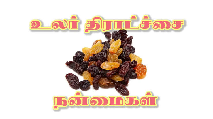 உலர் திராட்சையின் மகத்துவம்! இவர்கள் இதனை எடுத்துக் கொண்டால் மிகவும் நன்மை!
