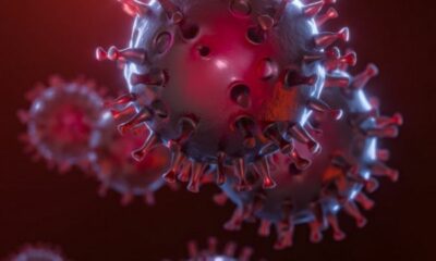 new-deadly-virus-spreading-again-people-are-panicking