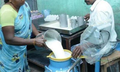 Demand of milk producers! Will the negotiations succeed today?