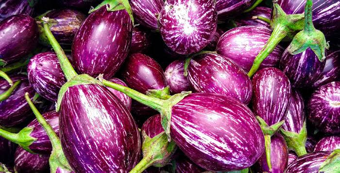 உடம்பில் உள்ள கொலஸ்ட்ரால் ஒரே வாரத்தில் குறைய வேண்டுமா! கத்தரிக்காய் இருந்தால் போதும்!