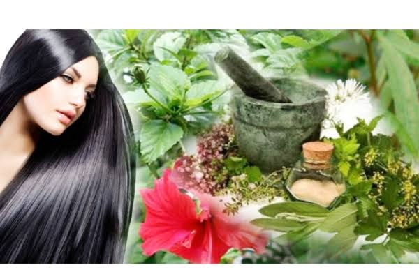 ஒரு முடி கூட கொட்டாமல் கருகருவென அடர்த்தியாக வளர இதை ட்ரை பண்ணி பாருங்க!