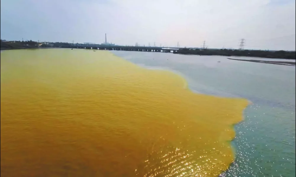 சென்னை எண்ணூர் கொசஸ்தலை ஆற்றில் மீண்டும் மிதக்கும் மஞ்சள் நிற கழிவு நீர்