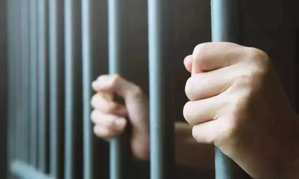 மலேசியாவுக்கு கஞ்சா எண்ணெய் கடத்தல்!  சென்னையை சேர்ந்தவருக்கு 10 ஆண்டு சிறை தண்டனை!