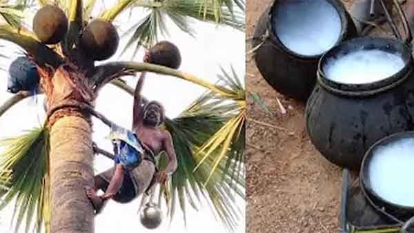 கள் இறக்கி வியாபாரம் செய்தவர்கள் மீது தடியடி!! பழனி அருகே பரபரப்பு!!