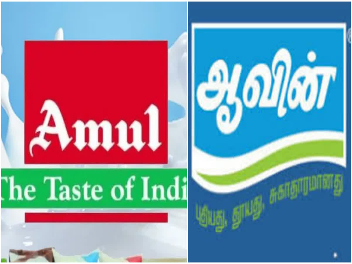 Amul company that buys milk!! Attractive announcements for dairy farmers!!