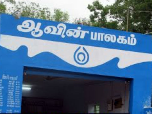 ஜெர்சி இன பசுக்களை வாங்க ஆவின் நிறுவனம் முடிவு!! விவசாயிகளுக்கு முன்னுரிமை!!