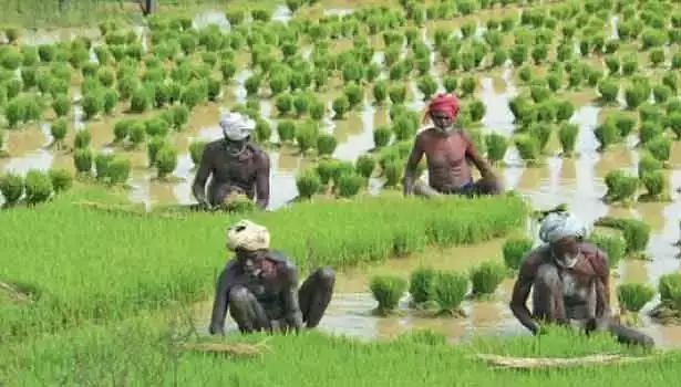 ஒரு லட்சம் விவசாயிகளுக்கு விவசாயப் பட்டா!! இலவசமாக வழங்கிய முதலமைச்சர்!!