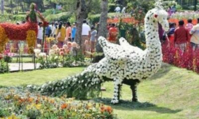 Kodaikanal Flower Exhibition!! Another two day extension!!