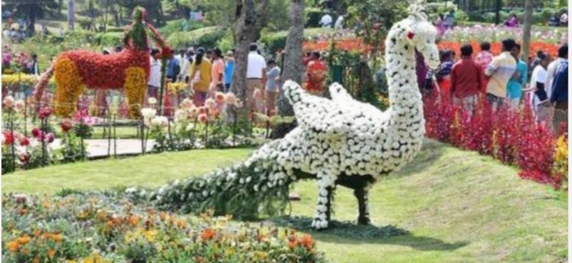 Kodaikanal Flower Exhibition!! Another two day extension!!