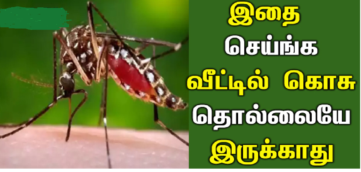 Neem alone is enough!! No mosquitoes in your house!!