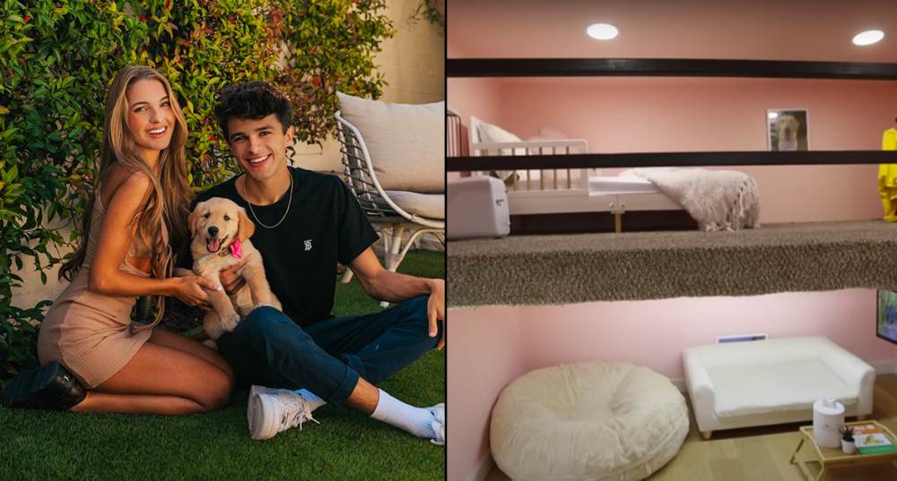 வளர்த்த நாய்க்கு 16.5 லட்சத்தில் வீடு! யூடியூபர் செய்த செயல்!!