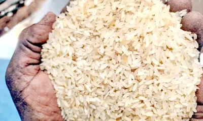 Enriched rice in ration shops!! A new problem has arisen!!
