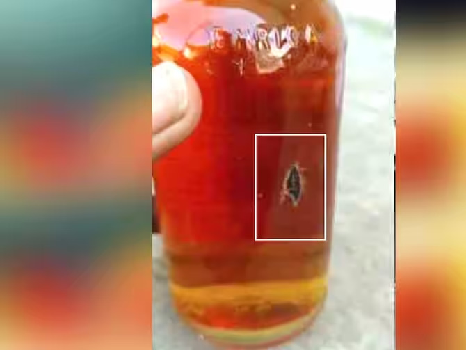 மதுபாட்டிலில் விஷப்பூச்சி.. அதிர்ச்சியில் உறைந்த மதுப்பிரியர்கள்!!