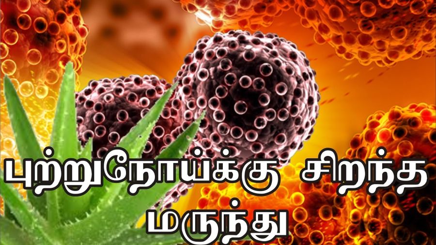புற்றுநோய் நம்மை தாக்காமல் இருக்க இந்த ஒரு பருப்பு மட்டும் போதும்!! 