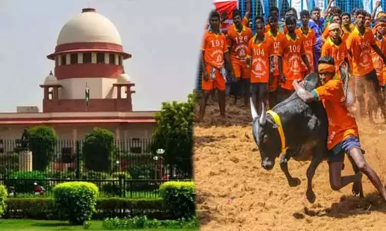 ஜல்லிக்கட்டுக்கு தடை விதிக்க முடியாது என மறுத்த சுப்ரீம் கோர்ட்டு!! தீர்ப்பை எதிர்த்து மீண்டும் மனு கொடுத்த அமைப்பு!! 