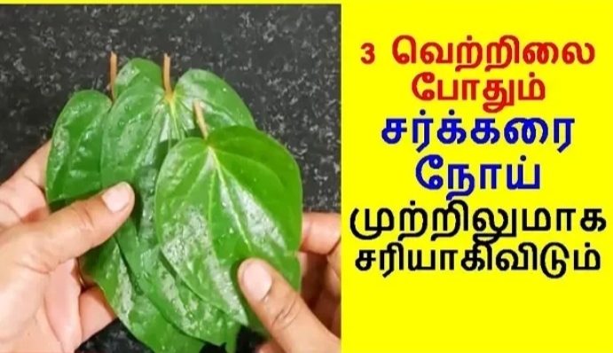 3 வெற்றிலை இருந்தால் போதும்!! சர்க்கரை நோய் முற்றிலும் குணப்படுத்தலாம்!!