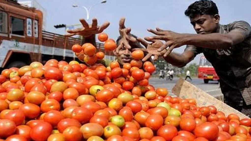 60 ரூபாய்க்கு ஒரு கிலோ தக்காளி விற்பனை… தக்காளியை வாங்க கூட்டம் கூட்டமாக சென்ற மக்கள்…!