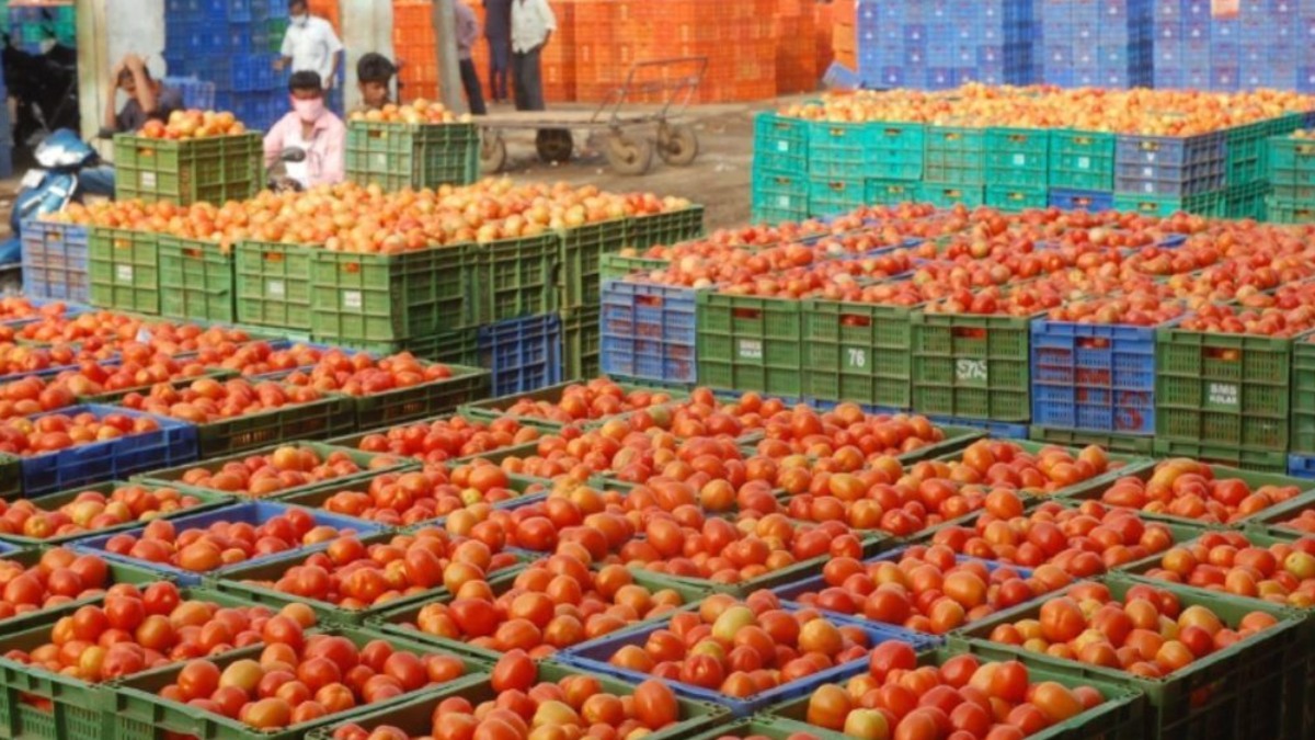 காலையிலேயே அதிர்ச்சி…தக்காளி விலை மீண்டும் உயர்வு!!