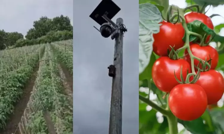 விலை உயர்வு எதிரொலி!! திருட்டை தடுக்க விவசாயி செய்த நூதன காரியம்!!