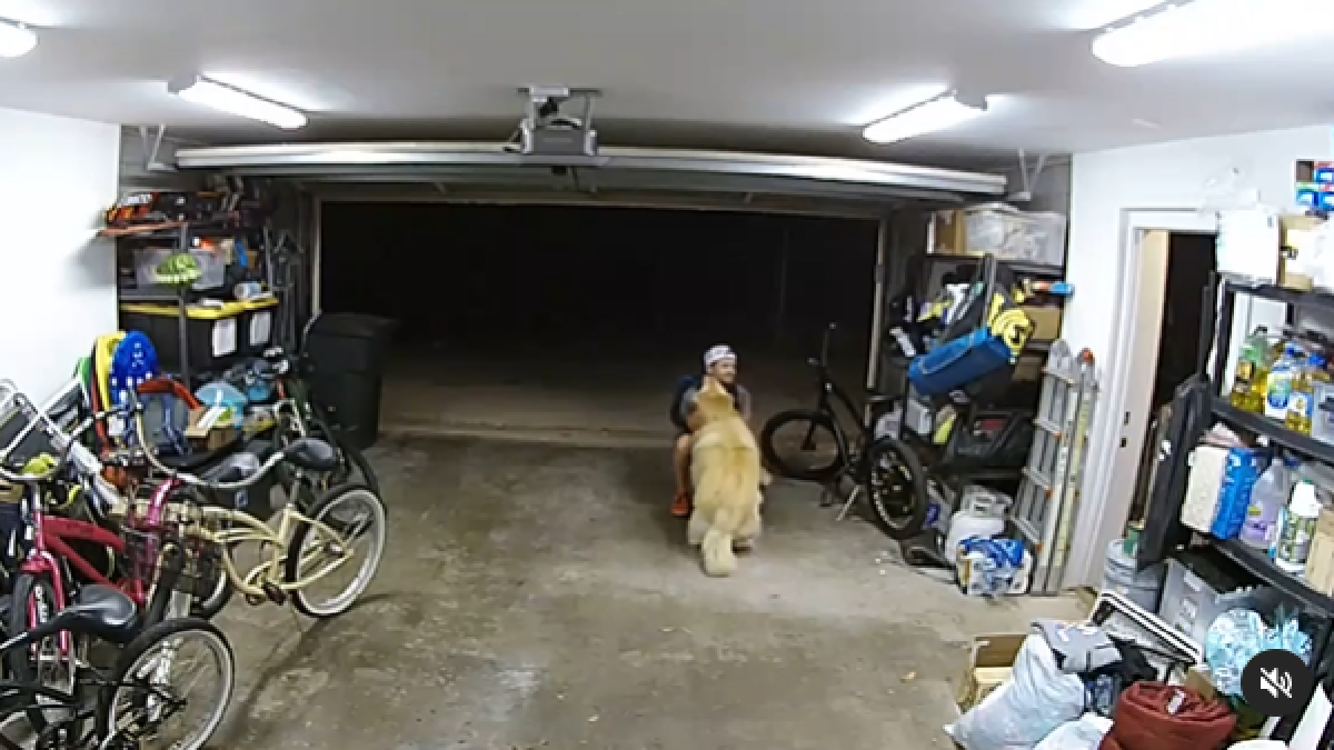 திருட வந்த இடத்தில் நாயுடன் விளையாட்டு… திருடன் செய்த செயல்… இணையத்தில் வைரலாகும் வீடியோ!!