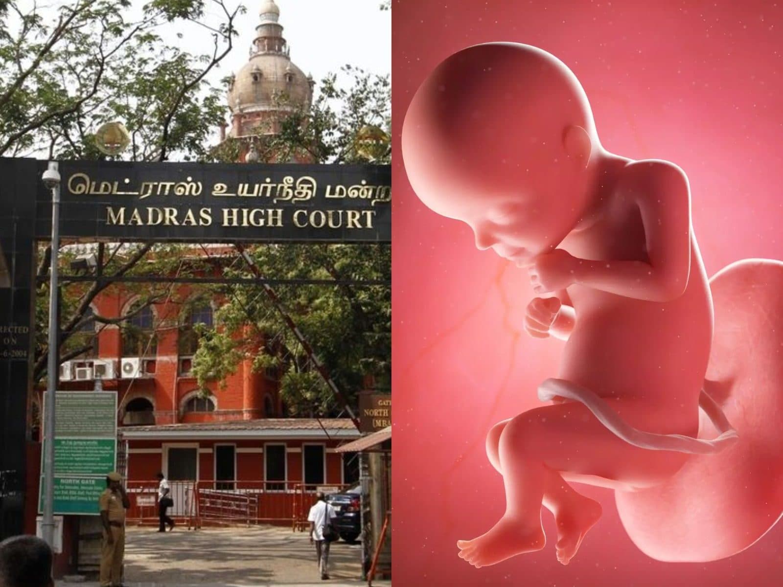 பாலியல் பலாத்காரத்தால் உருவான 27 வார கருவை கலைக்க அனுமதி-உச்ச நீதிமன்றம் அதிரடி!!